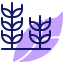 Пшеничный завод иконка 64x64