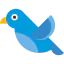 Bird biểu tượng 64x64