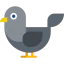 Bird biểu tượng 64x64