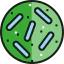 Bacteria biểu tượng 64x64