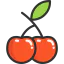 Cherry icon 64x64