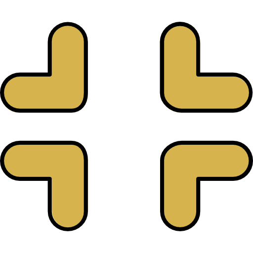 Focus icon