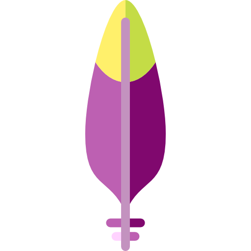 Wings icon