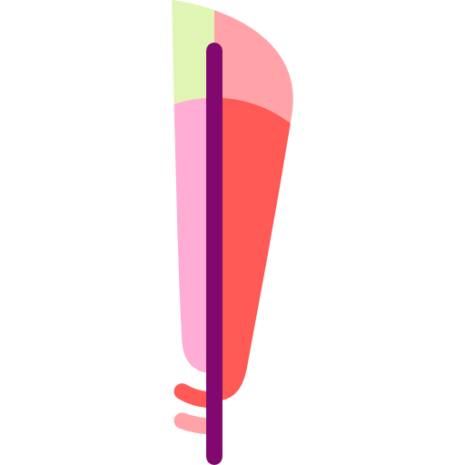 Wings icon