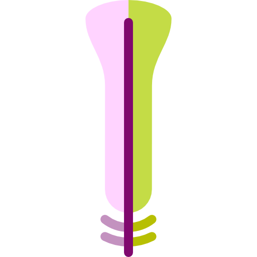 Wings icon