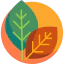 Leaf icon 64x64