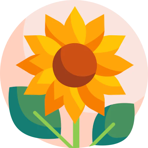 Sunflower icon