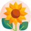 Sunflower アイコン 64x64