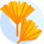 Ginko icon 64x64