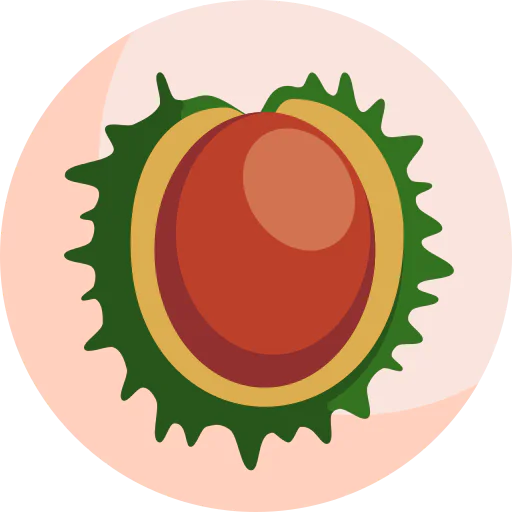 Chestnut icon