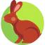 Rabbit іконка 64x64