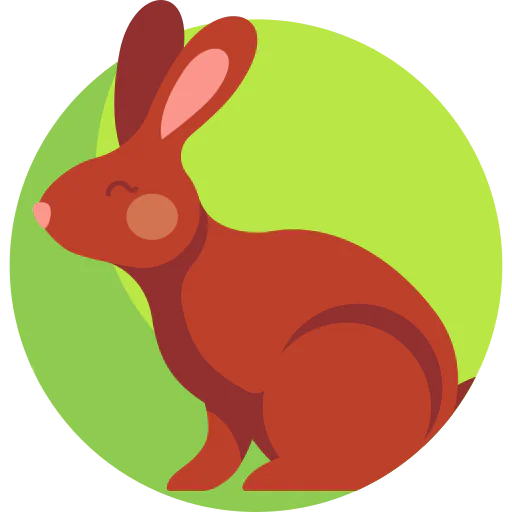 Rabbit icon
