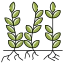 Harvest icon 64x64