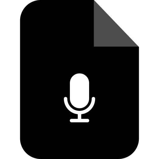 Record icon