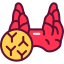 Endocrinology icon 64x64
