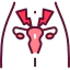 Endocrinology icon 64x64