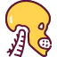 Endocrinology icon 64x64
