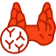 Thyroid icon 64x64