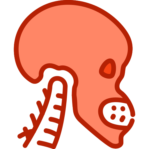 Skull icon