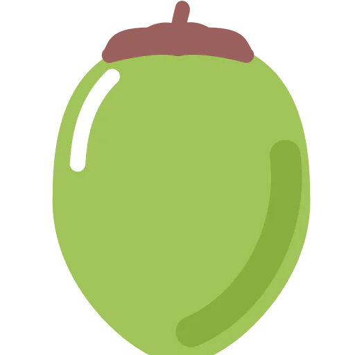 Coconut icon