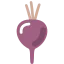 Beet biểu tượng 64x64