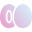 Kiwi icon 64x64