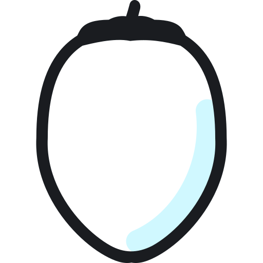 Coconut icon