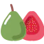 Guava icon 64x64
