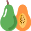 Papaya icon 64x64