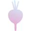 Beet icon 64x64