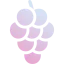 Grapes icon 64x64