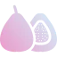 Guava icon 64x64