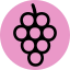 Grapes 상 64x64