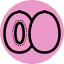 Kiwi icon 64x64