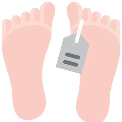 Feets icon
