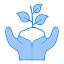 Plant icon 64x64