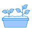 Sprout ícone 64x64