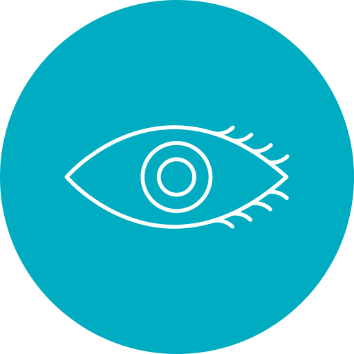 Vision icon