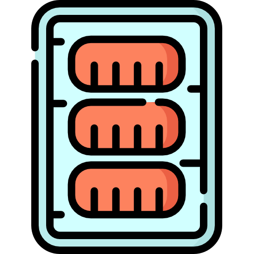 Salmon icon