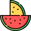Watermelon icon 64x64