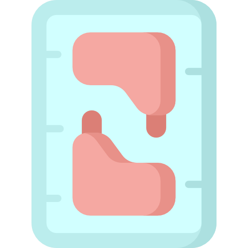 Chicken icon