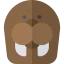 Sea lion icon 64x64