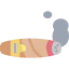 Cigar icon 64x64