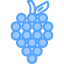 Grape icon 64x64