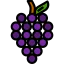 Grape icon 64x64
