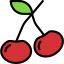 Cherry icon 64x64