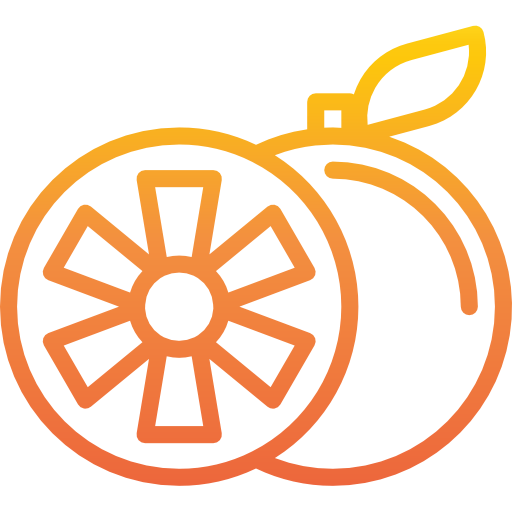 Orange icon