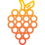 Grape icon 64x64