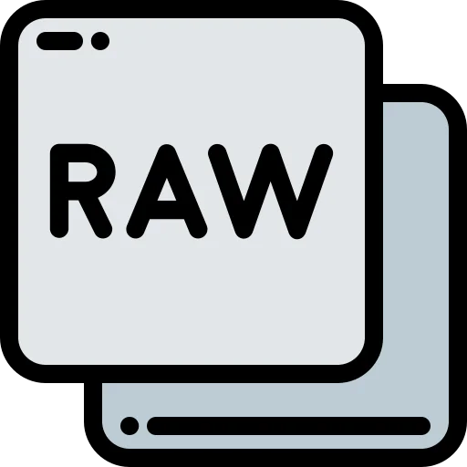Raw file icon