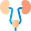 Urinary tract アイコン 64x64